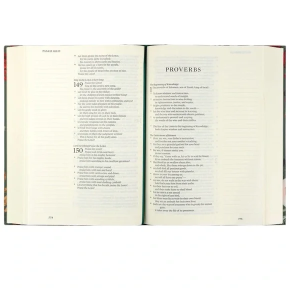 ESV Large Print Journaling Bible: Hollis Theme - Picture 3 of 3